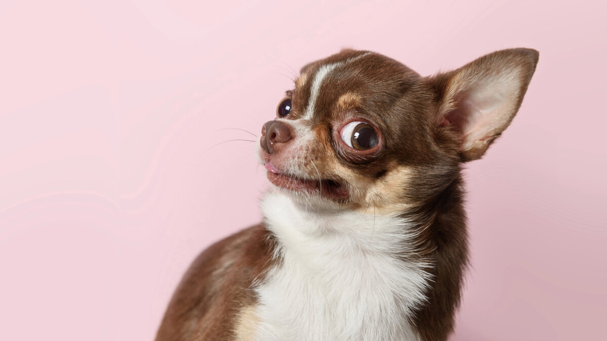 Фото Ravena July/iStock