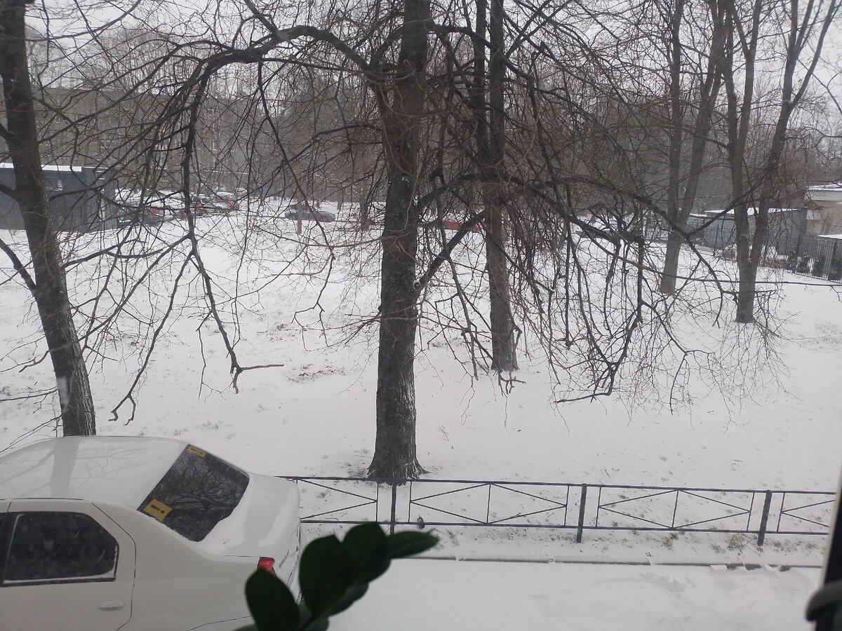 На улице вот такая весна