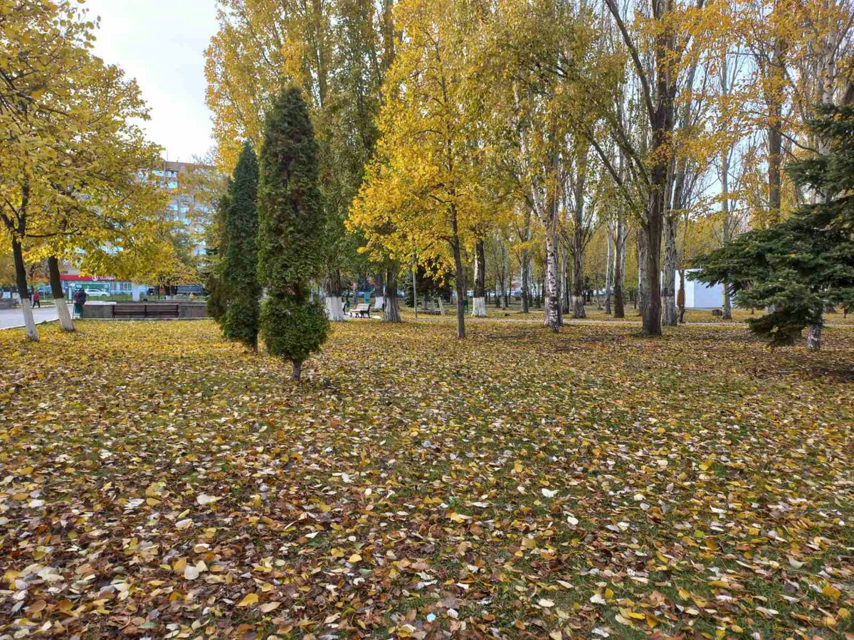 Фото автора.