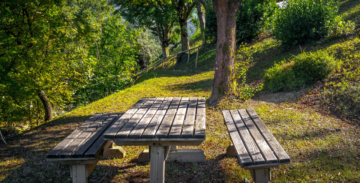 Яндекс картинки