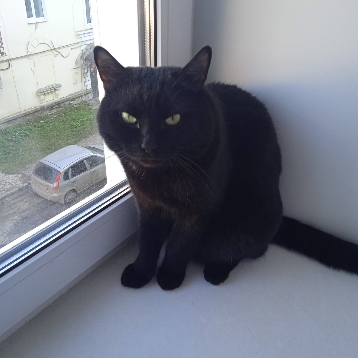 Фото автора. 