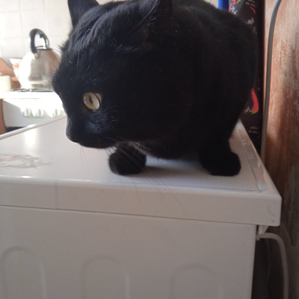 Фото автора. 