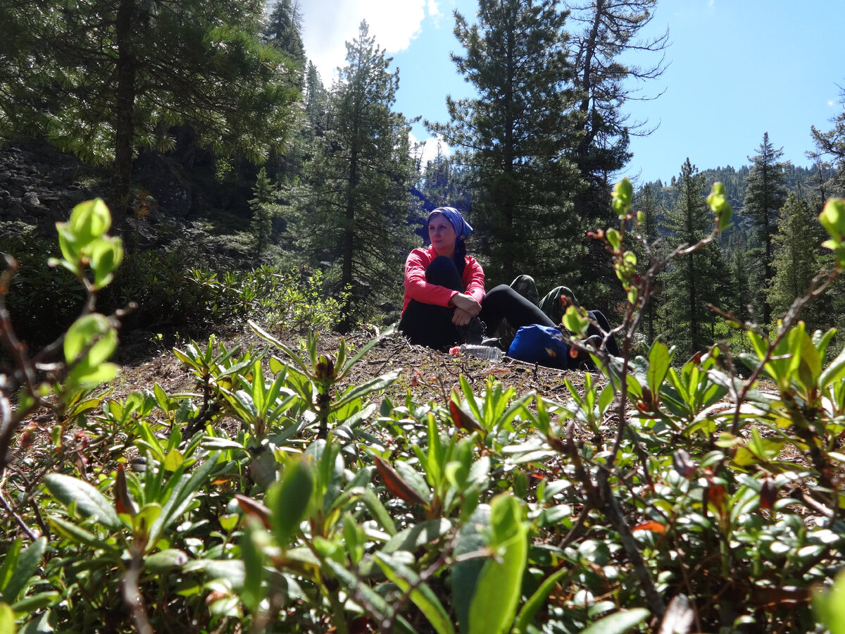 по пути на водопады Подкомарной, июнь 2018 