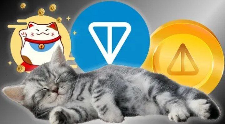 заработок, деньги, catizen, notcoin, криптовалюта, крипта, ton, биткоин, catizen, заработок в интернете, криптовалюта для новичков, аирдроп, заработок без вложений, как заработать