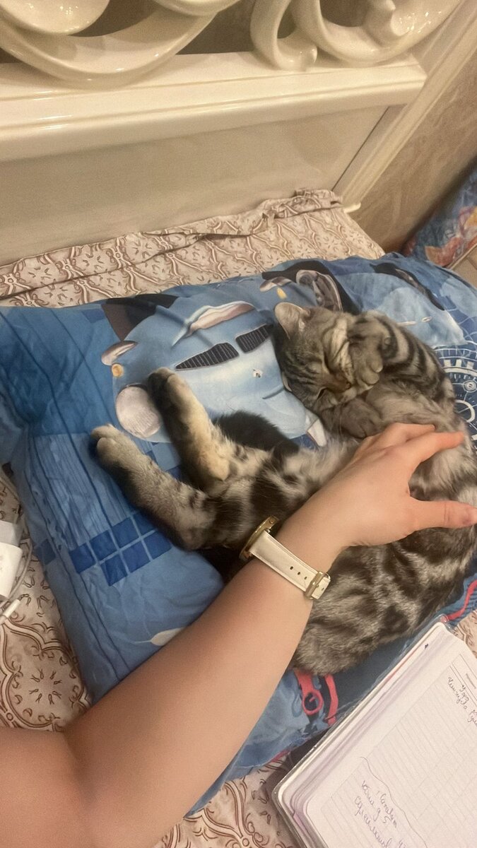 Красотища 🫠🥰🔥