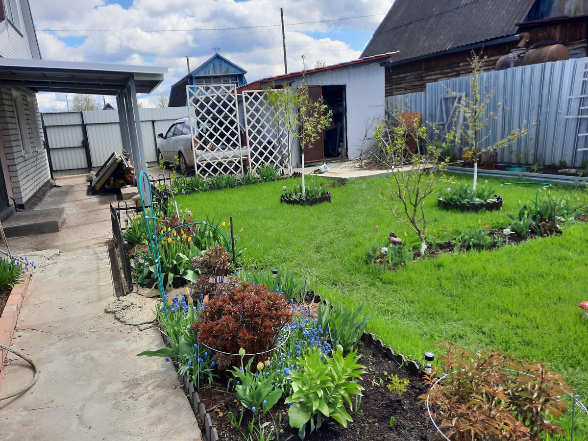 Травка  яркая