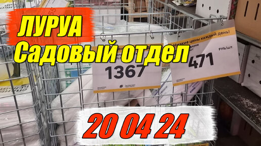 20 04 24 Цены в леруа ходить или не ходить пробежка по магазину