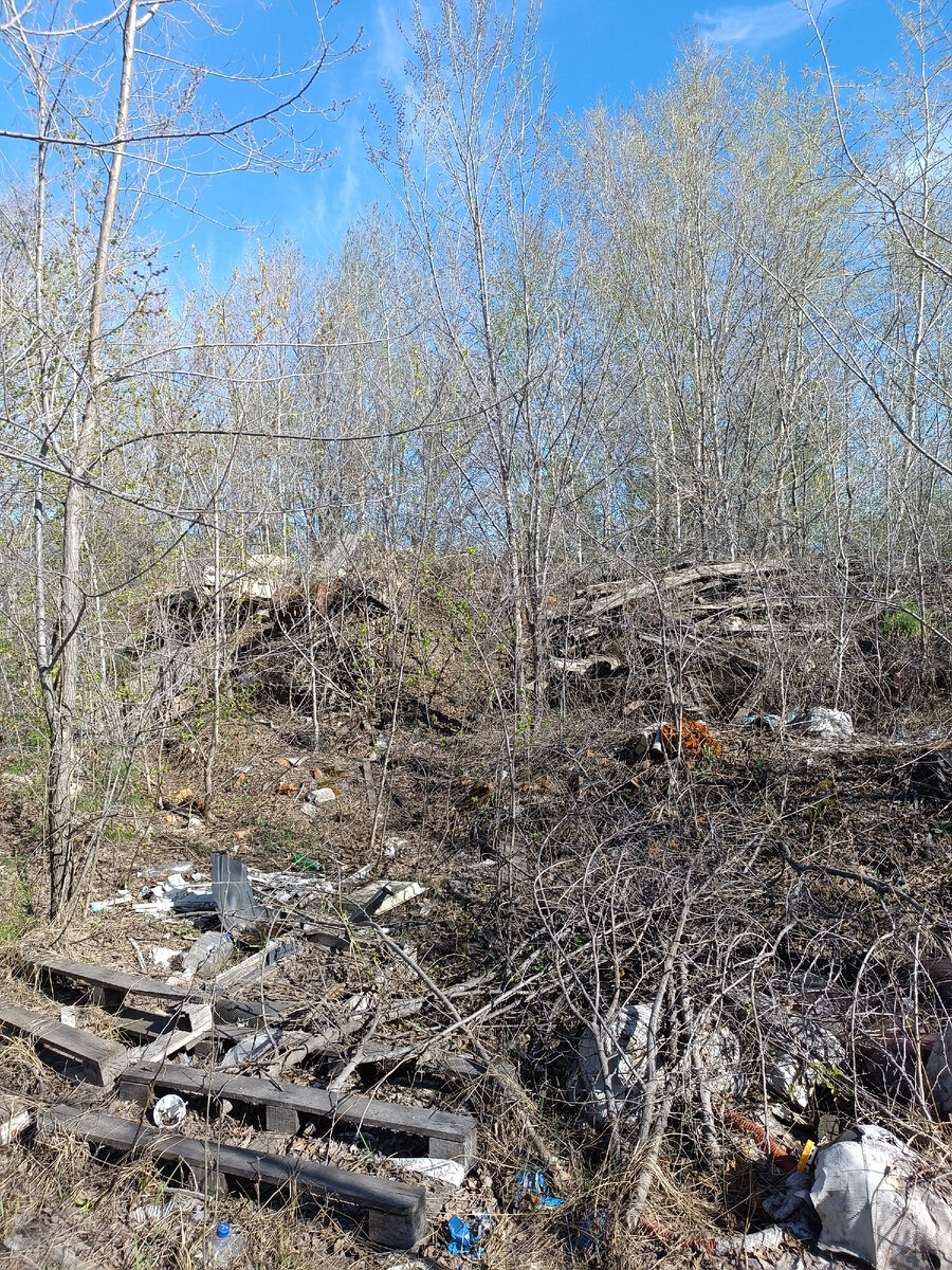 Пока это лишь куча мусора и непролазные заросли