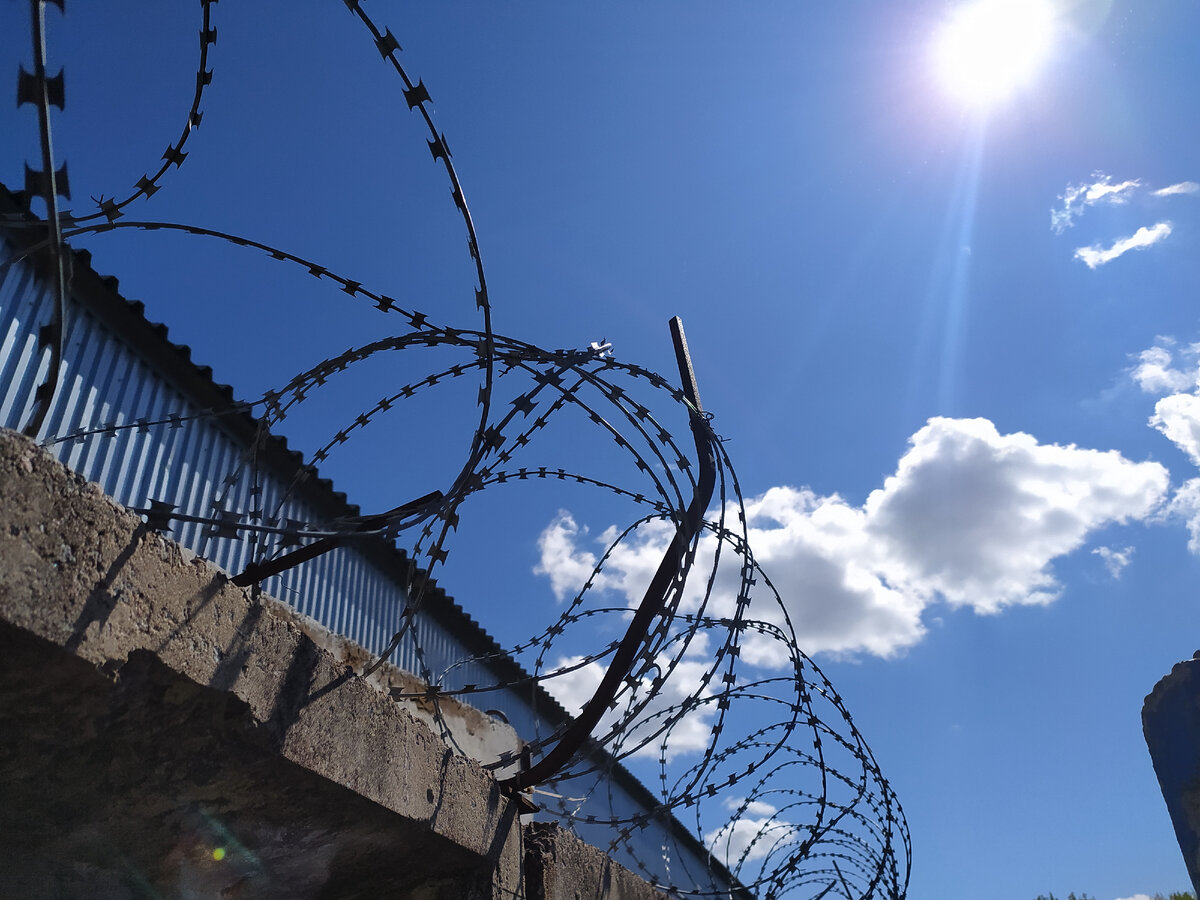 Фото: Maksim Konstantinov/Globallookpress