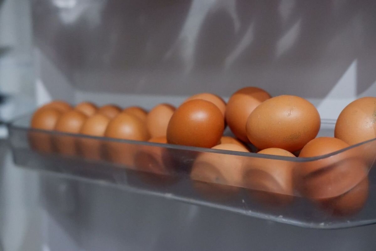 Фото: Е. Зимней 