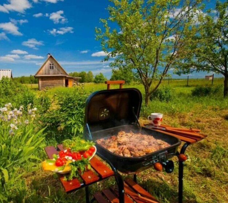 из интернета