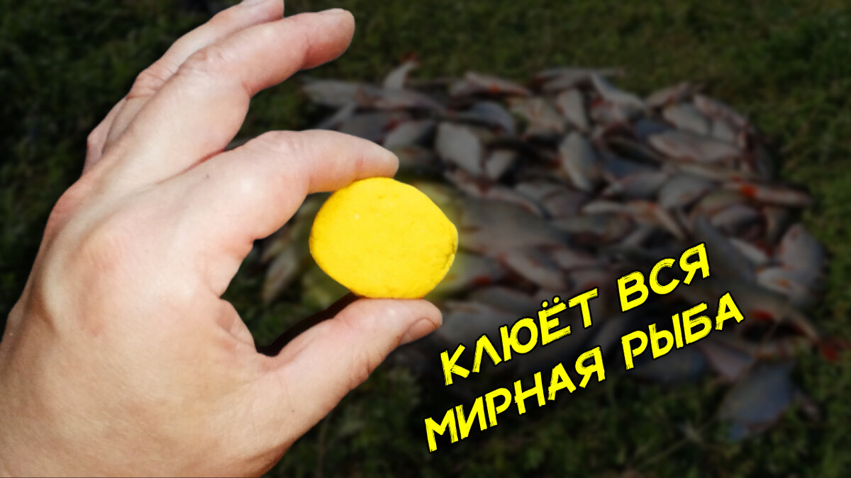 Насадка на любую мирную рыбу