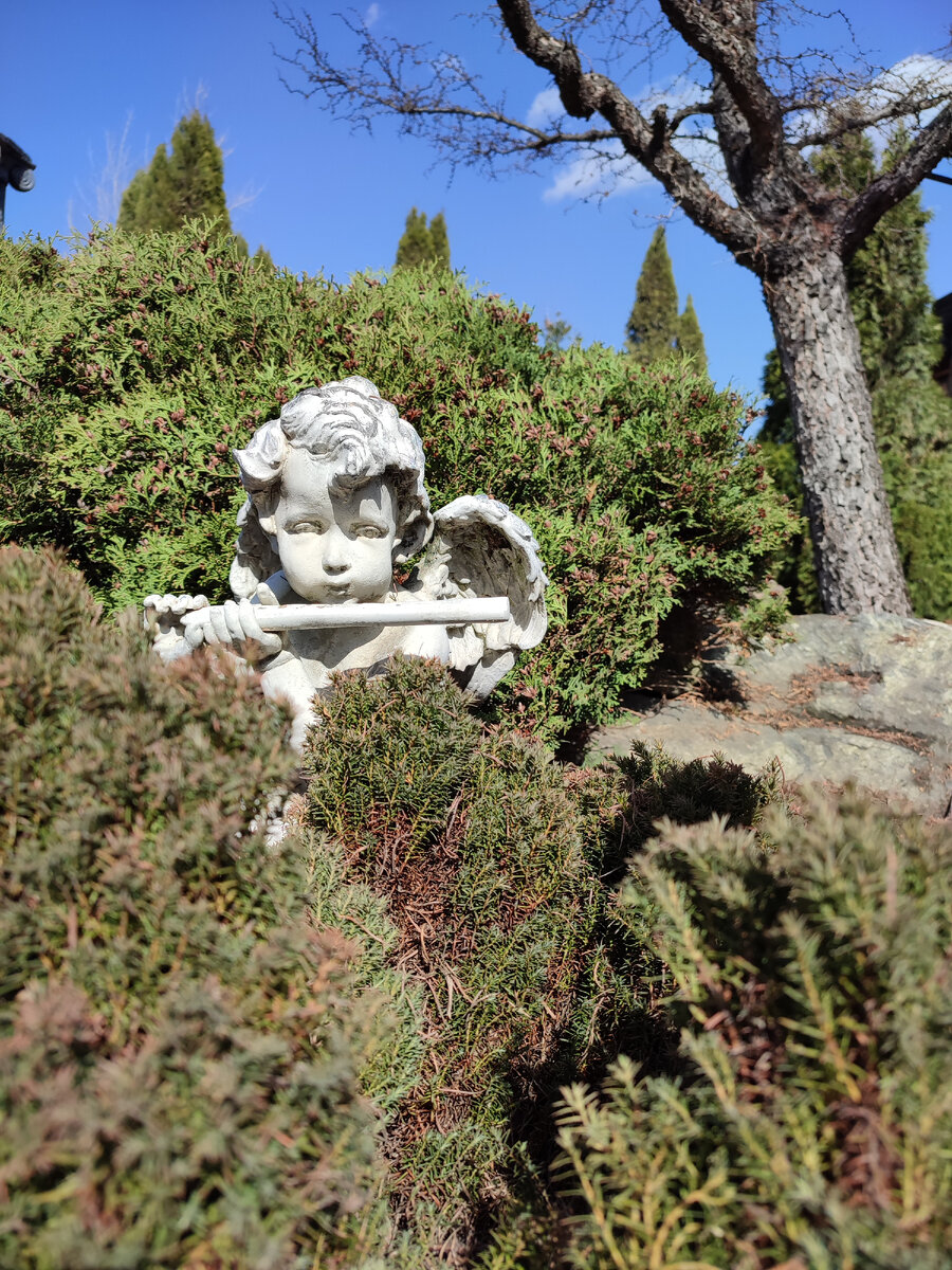 Погода сегодня была волшебная. +25°С красота