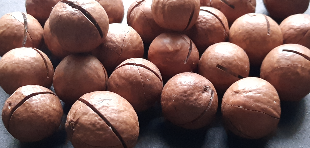 МАКАДАМИЯ самый "КРЕПКИЙ ОРЕШЕК" в мире.