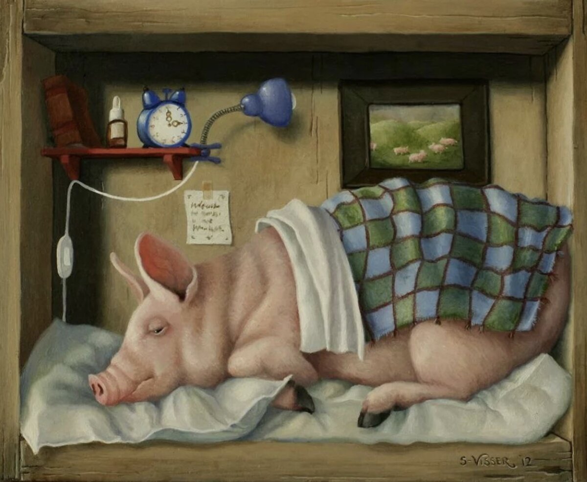 Картинка из свободного доступа 