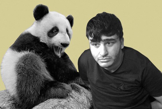    Панда Катюша, Шахин Аббасов