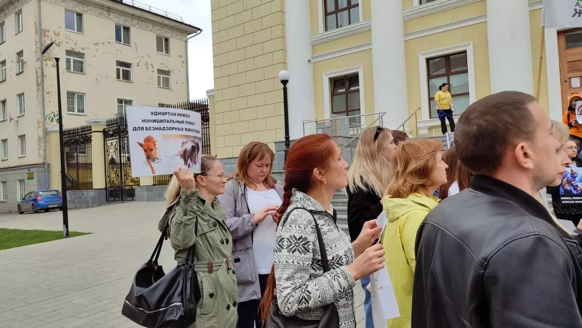 Нельзя никого убивать!» В Ижевске прошел митинг против эвтаназии бездомных  животных | udm-info.ru | Дзен