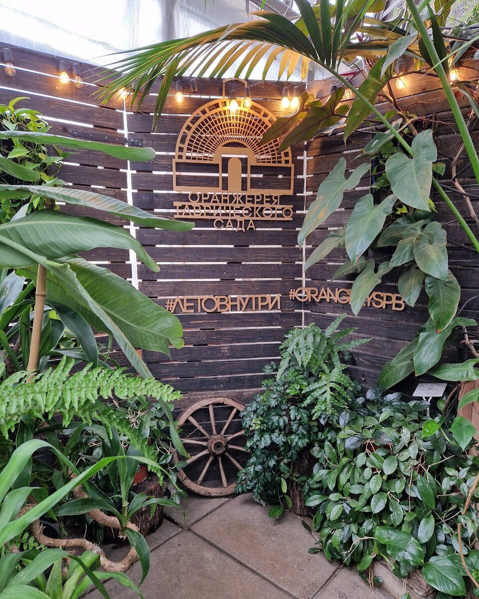 Оранжерея Таврического сада