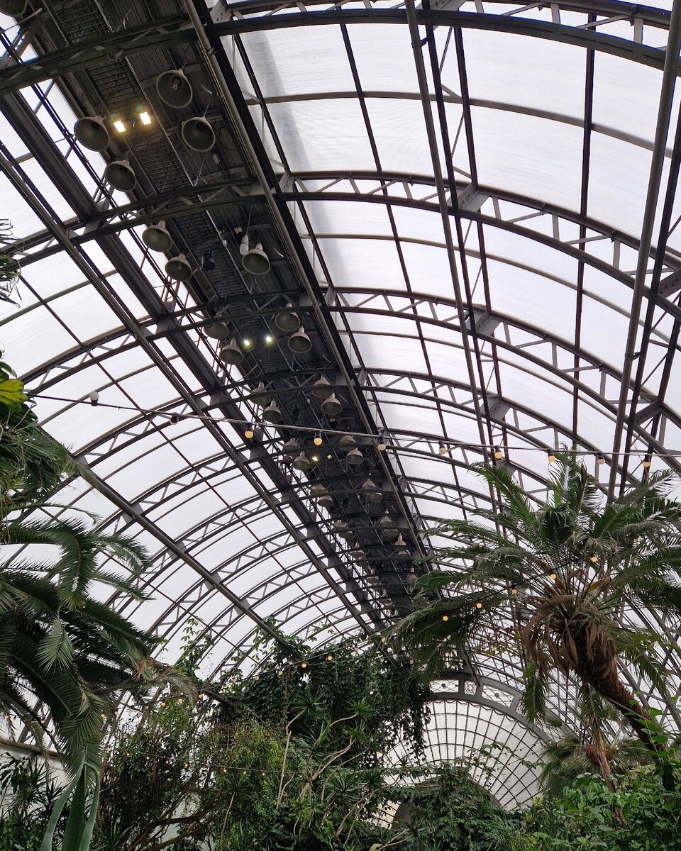 Оранжерея Таврического сада