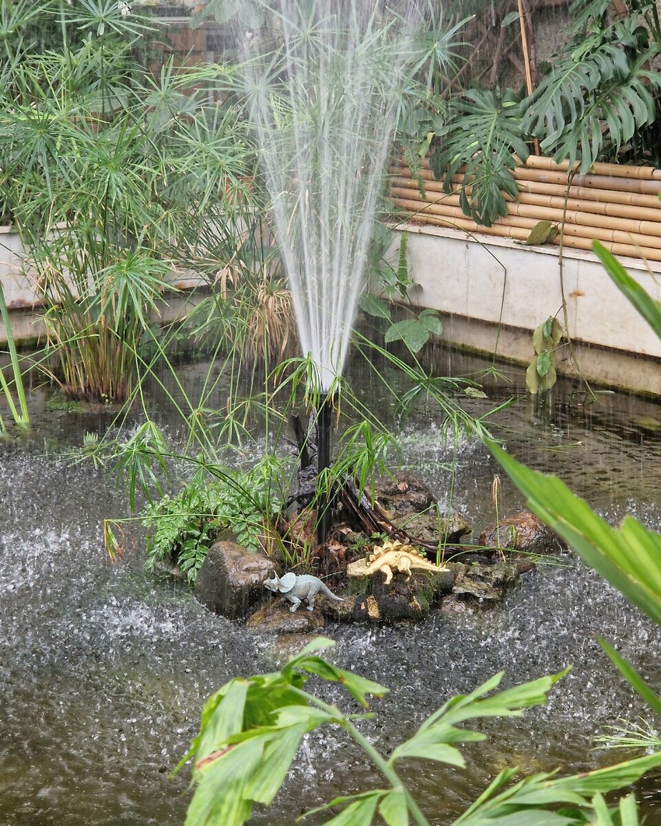 Оранжерея Таврического сада