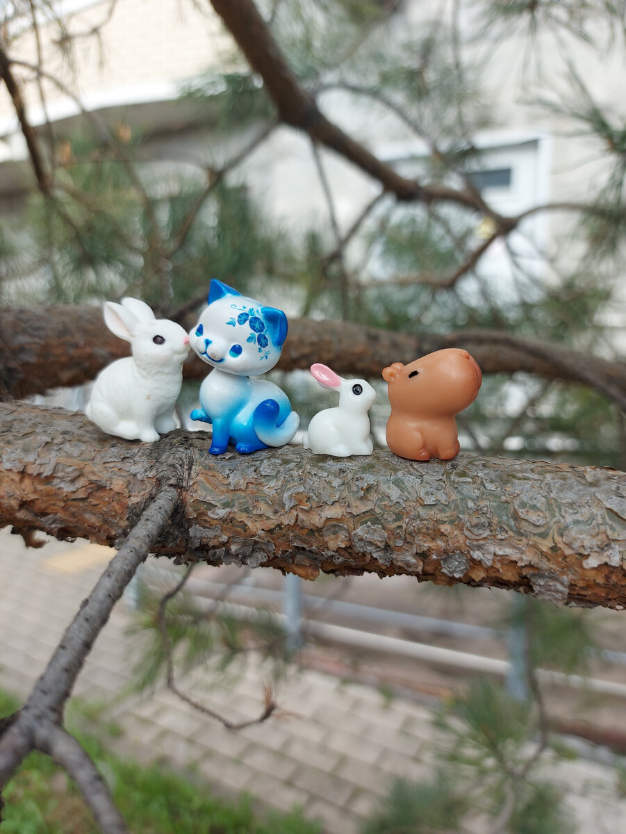 Зайчик, Юна, Зая и Капималыш