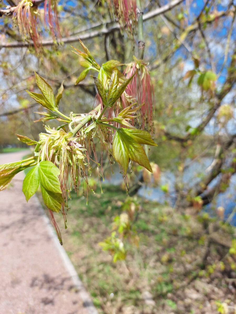 Красота же!