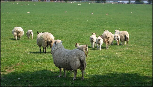 2. Там же. Фото авторское ©