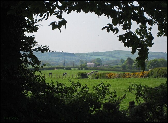1. Англия, Чешир. Фото авторское ©