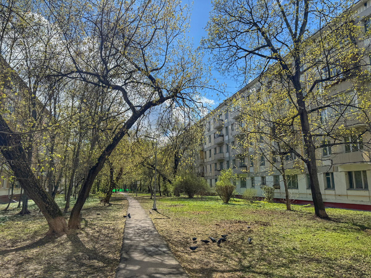 Проспект Маршала Жукова - яркий образец современной московской архитектуры.  Гуляем и наслаждаемся! | Пешком по Москве | Дзен