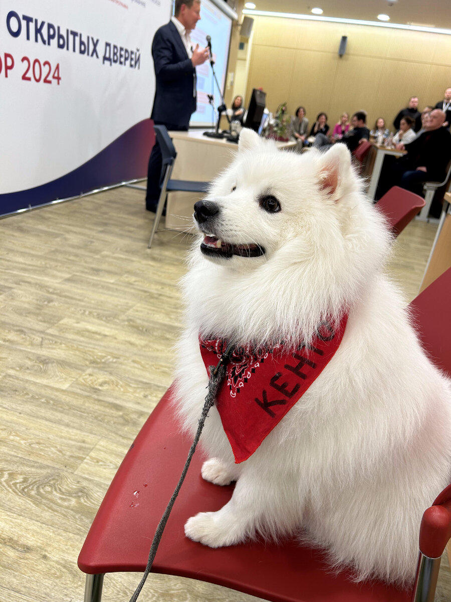 Доник Стайл Кенто Немо