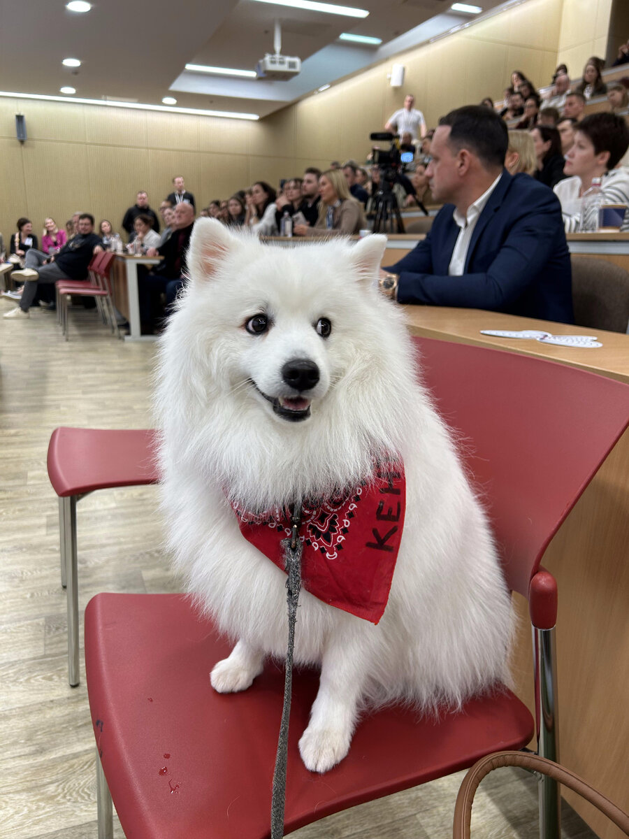 Высшая Школа Экономики