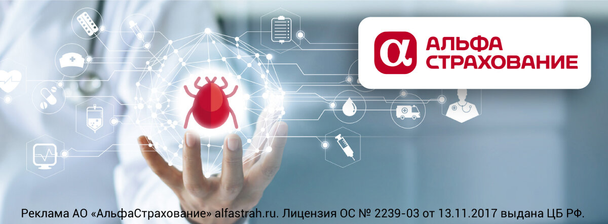 «АльфаСтрахование»: полис «АльфаКЛЕЩ»
