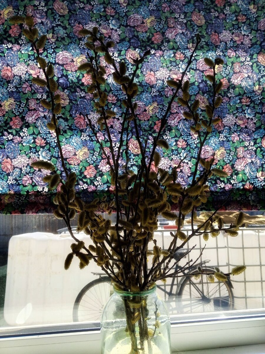 Верба вот какая красивая у неё