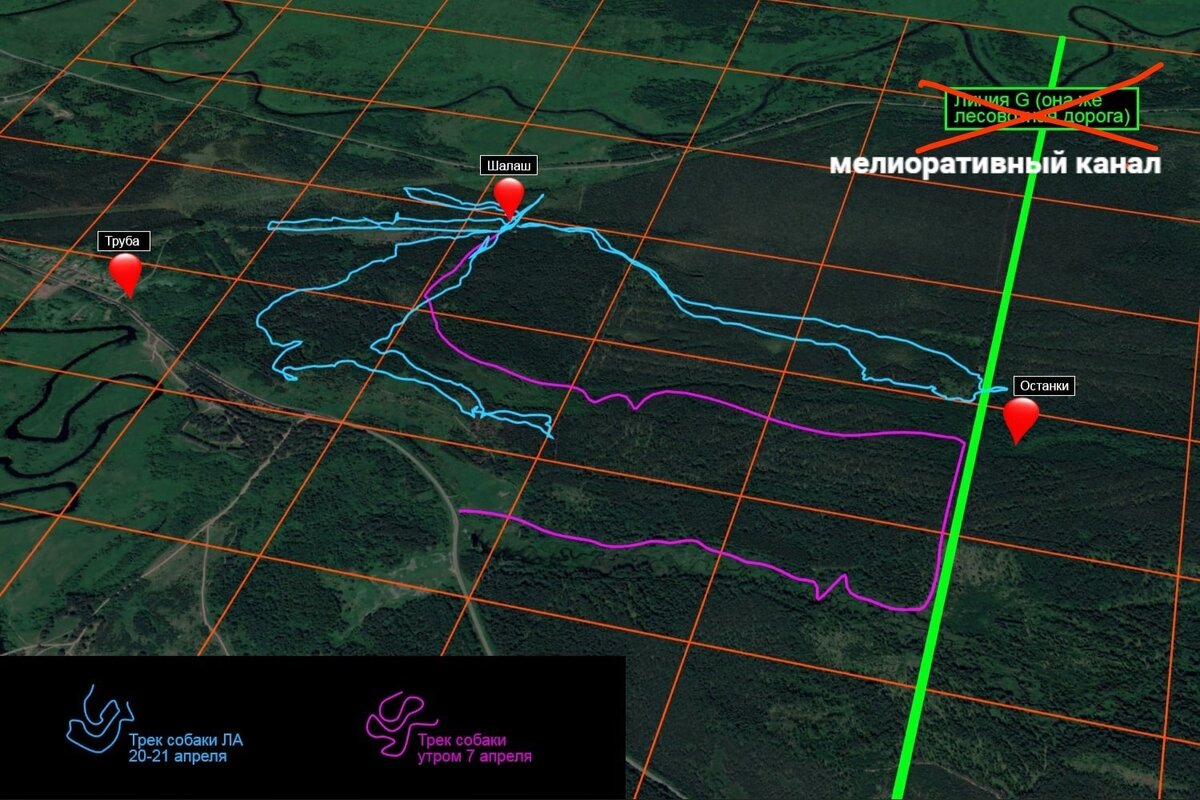 На карте обозначены поисковые треки двух кинологов на месте пропажи Влада Бахова 7-го апреля и 20-21 апреля. Интересно, что обе собаки очень близко подошли к точке нахождения тела. Однако куда интереснее, почему и кто назвал мелиоративный канал "линией G, лесовозной дорогой". Так канал назвали родители пропавшего Влада Бахова. Почему? Потому что в противном случае многочисленные вбросы о том, что ВБ был жестоко убит, а его тело "подброшено" на место обнаружения останков поисково спасательным отрядом "Сальвар" -- были бы поставлены под сомнение.