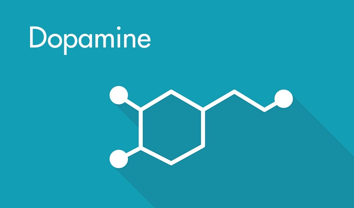 Дофамин имеет химическую формулу C8 H11 NO2 и принадлежит к семейству гормонов-катехоламинов.
