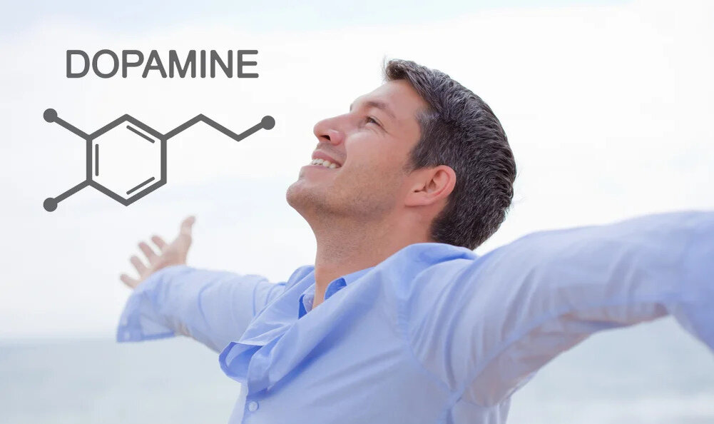 Дофамин имеет химическую формулу C8 H11 NO2 и принадлежит к семейству гормонов-катехоламинов.-2