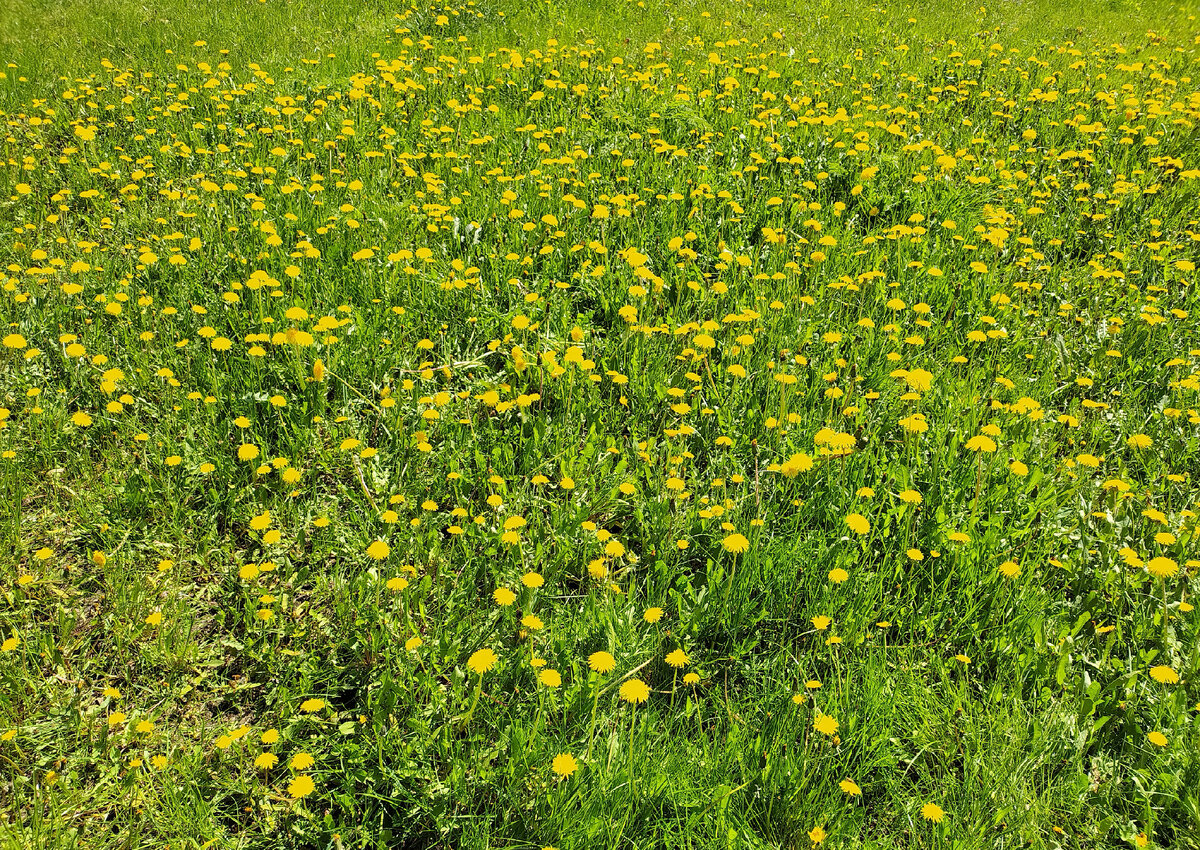 Фото: Виктор Лисицын/Global Look Press