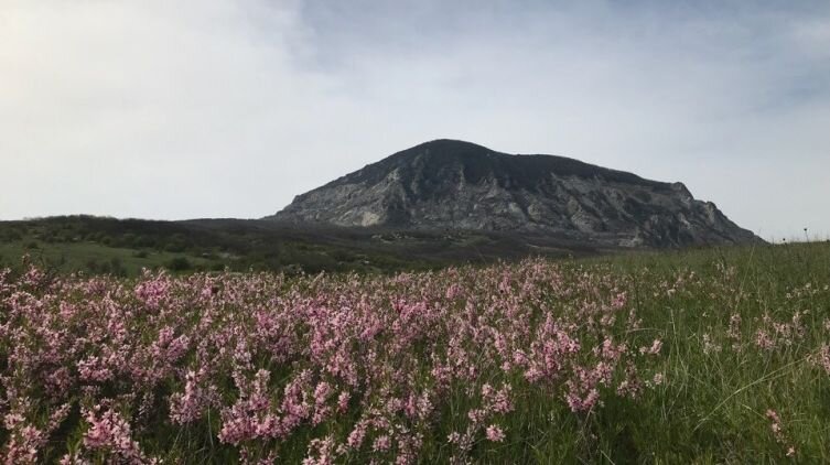    Природа Ставрополья. Почему гора Змейка носит такое название? Фото: Инна Манукова, личный архив