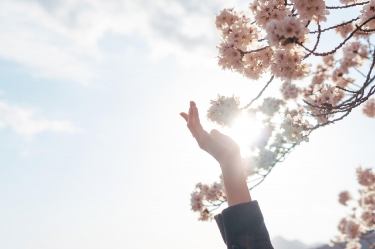    Осадки прекратятся: какая погода будет в Хабаровском крае 21 апреля