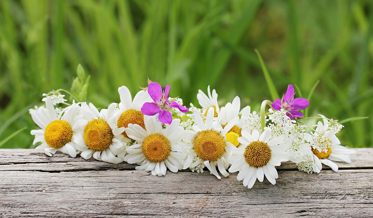    Фото: Galina Barbieri / Global Look Press / www.globallookpress.com