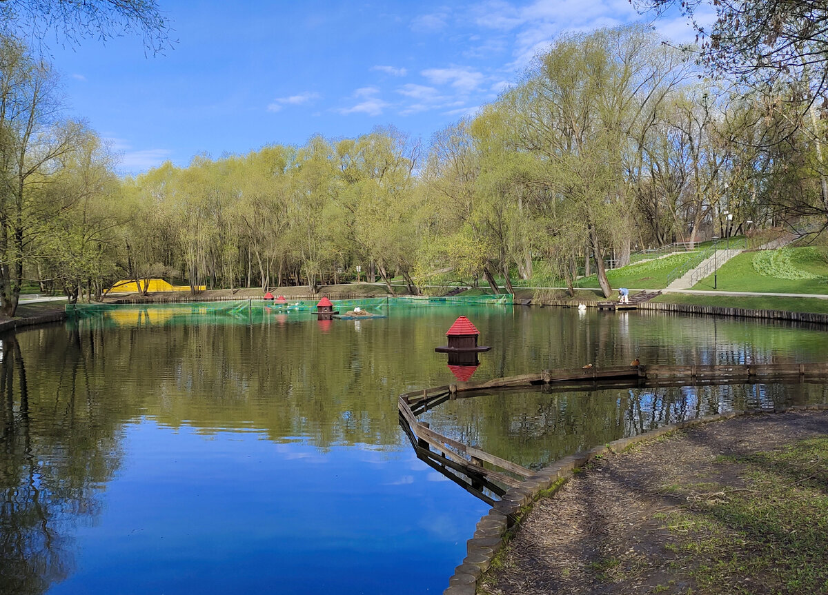 Такую картину я увидела в парке по дороге на работу