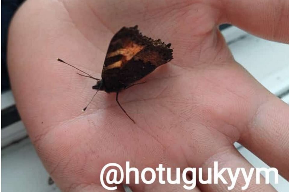    Фото: газета «Хотугу кыым» ЯСИА