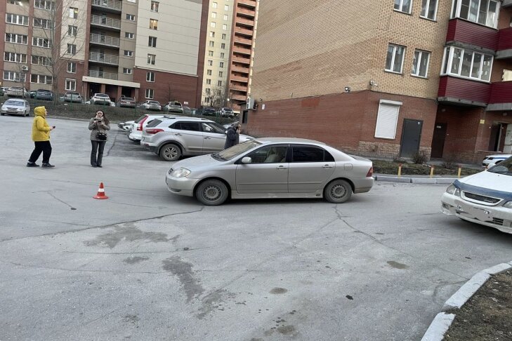    Фото ГИБДД по Новосибирской области