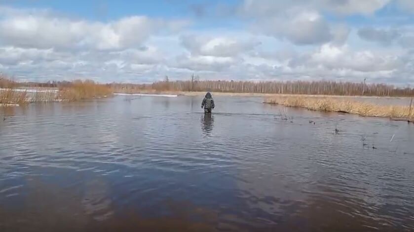    Фото: скриншот из видео Амурского центра ГЗ и ПБ