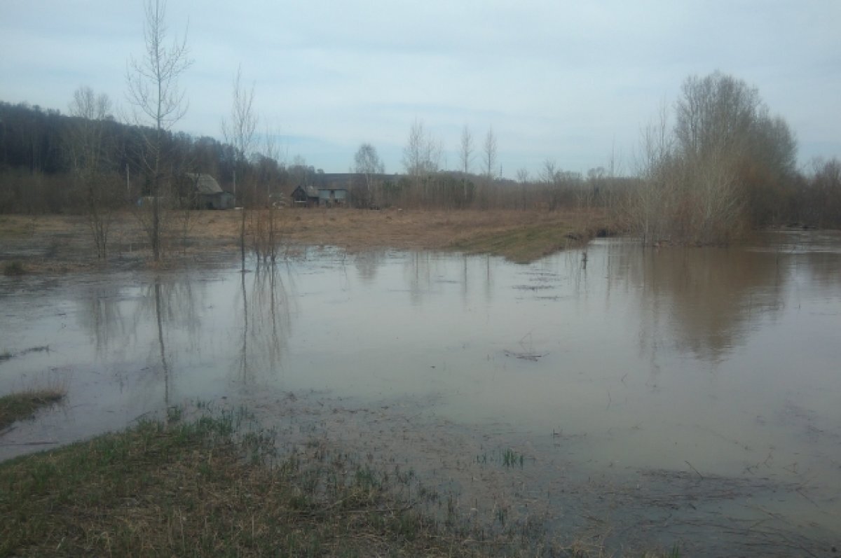    В Новокузнецке уровень воды в реке Томь стал опасным