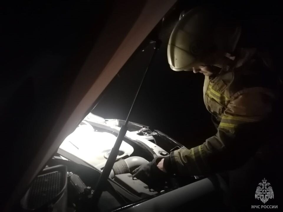    Инцидент на дороге. Источник: ГУ МЧС по Алтайскому краю