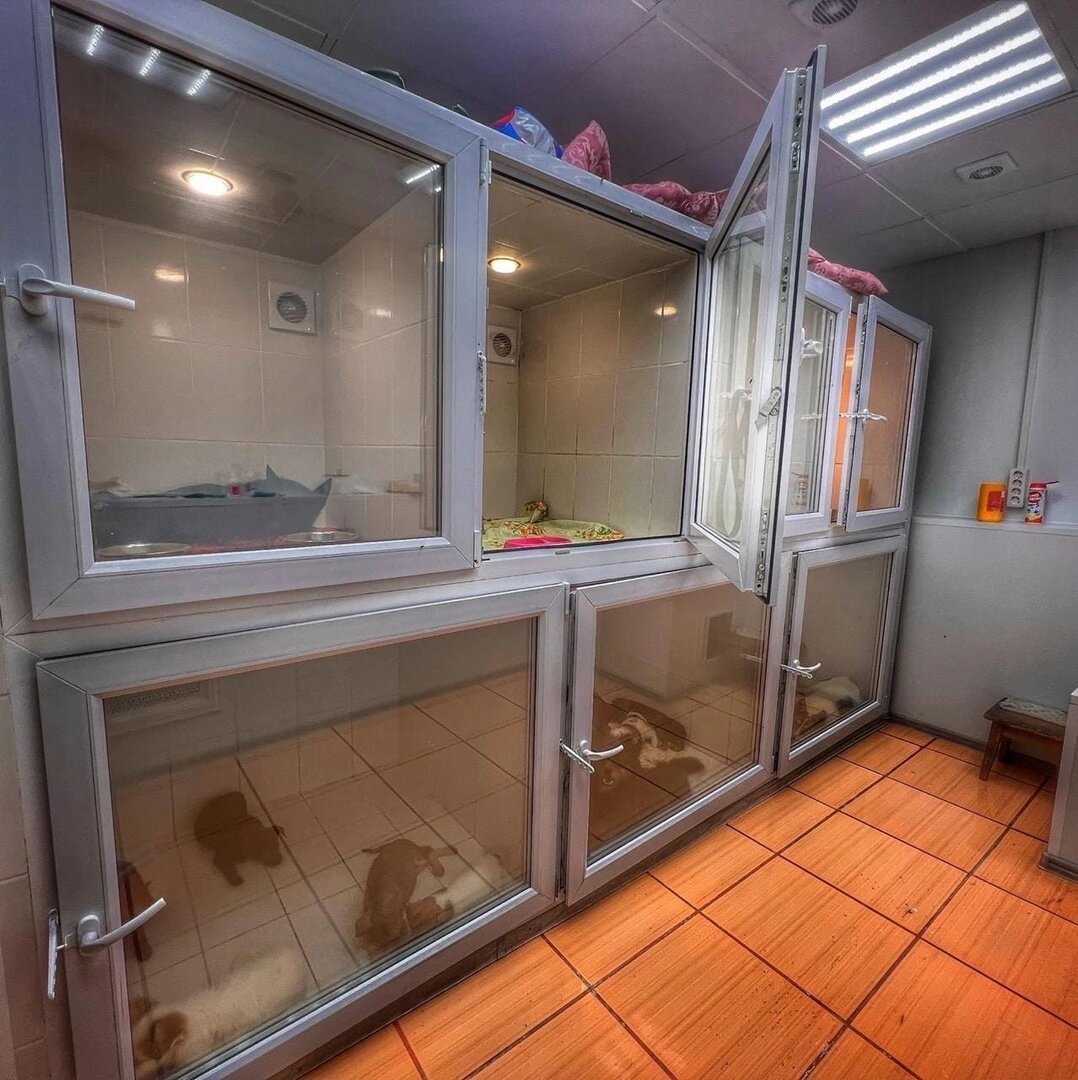 А еще полные стационары новеньких...