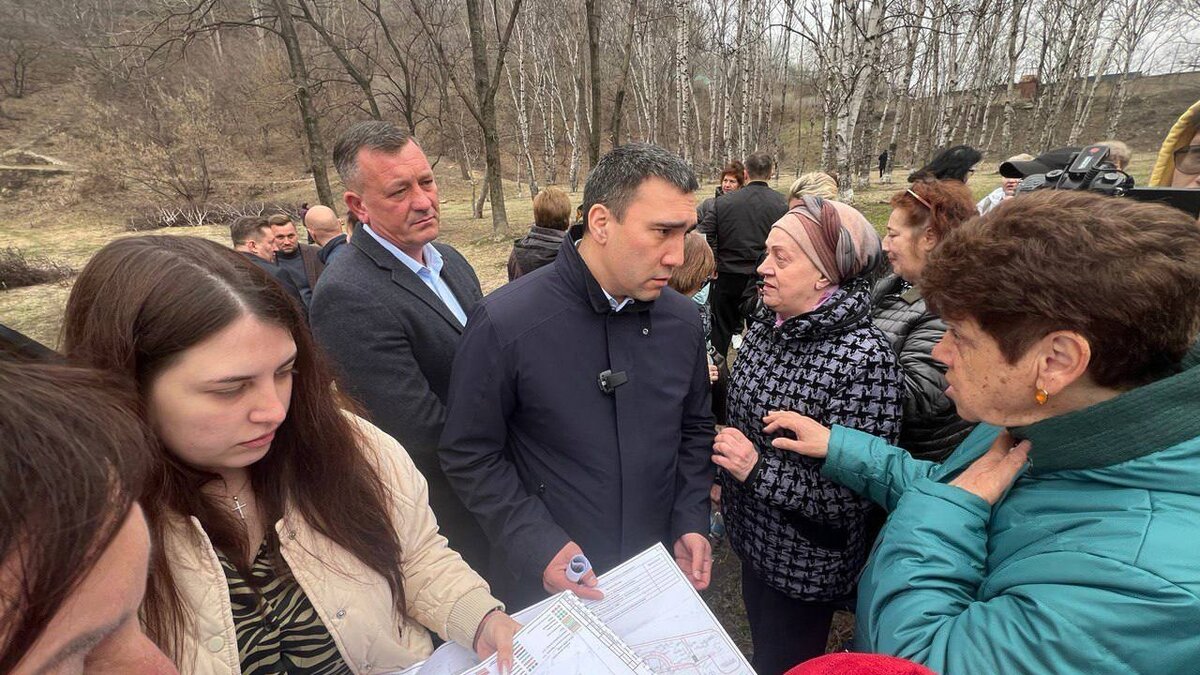 Деревьям — жизнь: уникальную берёзовую рощу максимально сохранят в Находке  | Восток-Медиа | Дзен