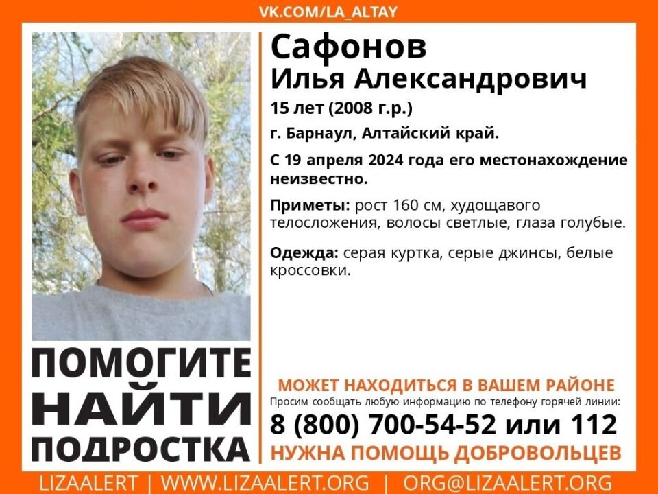    Ориентировка. Источник: ЛизаАлерт