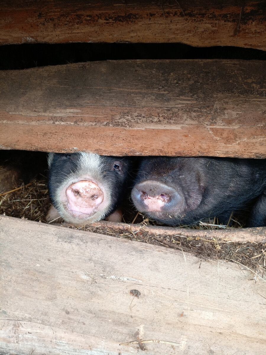 Фото автора канала.